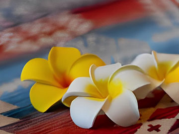 アーユルヴェーダサロン チッタ イメージ3